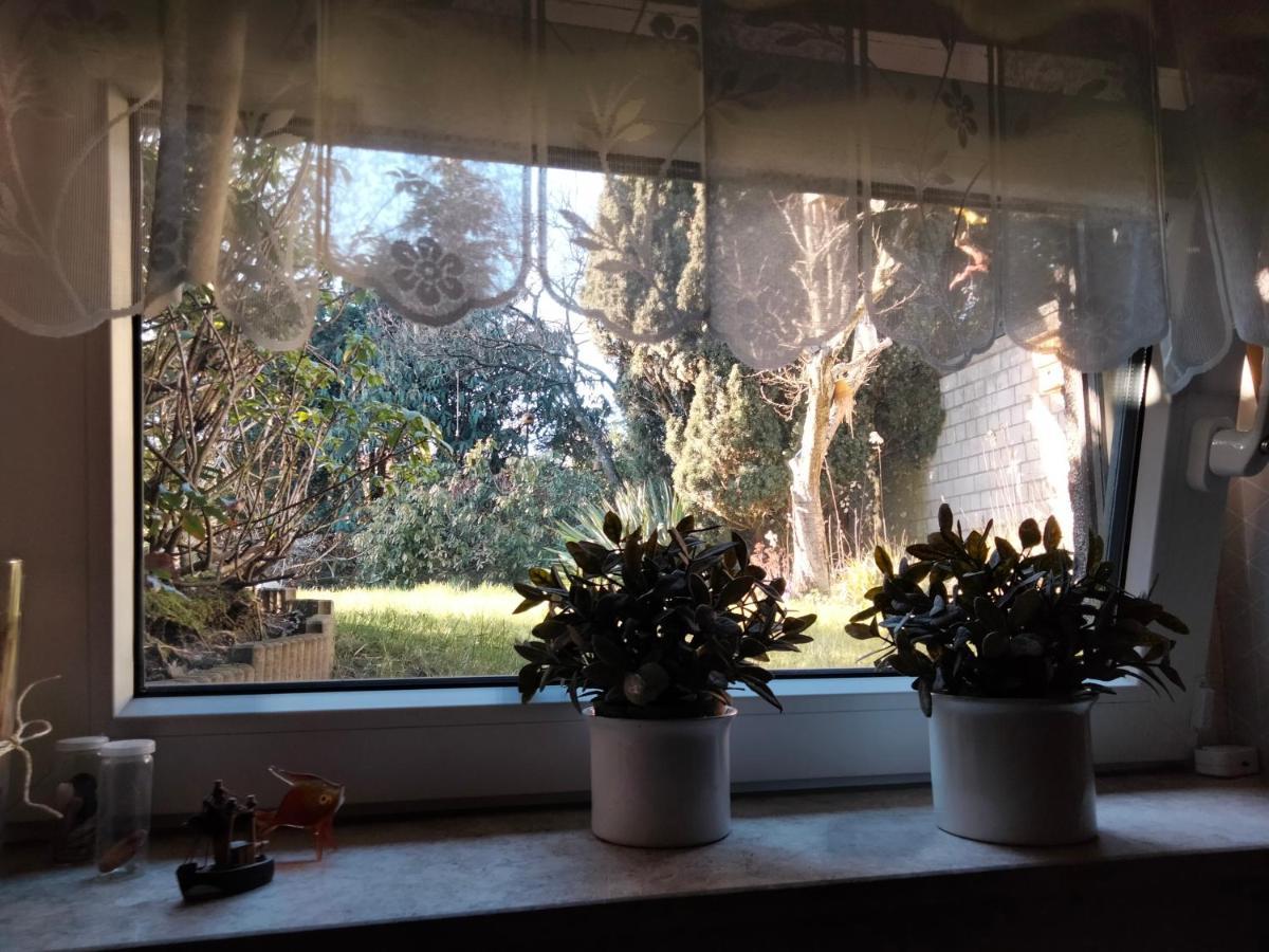 Ferienwohnung Coco Haltern Kültér fotó